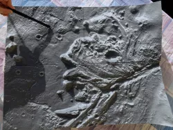 Mars Perseverance Rover Landing Site Jezero Crater: Mars Lesson built with the "NASA Mars Trek" & QGIS