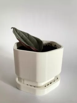 Plant pot
