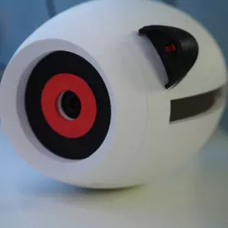 Portal Security Camera