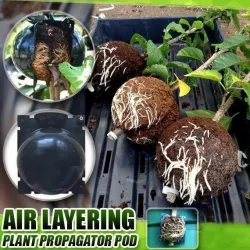 Reusable Plant Root Growing