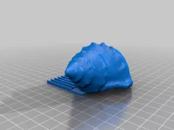 Shell Hair Comb