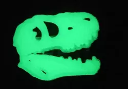 T-Rex skull Badge