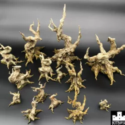 $10.00Dread Wood Iron Bark Trees