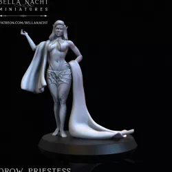 $16.00Drow Priestess - 2 Versions