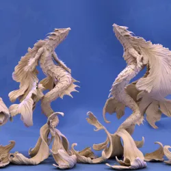 $23.00Betta Dragon