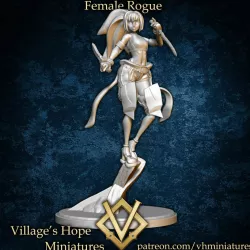 $3.00Female Rogue