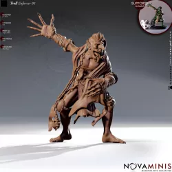 $3.00Troll Enforcer 01
