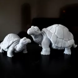 $3.00Turtle V2