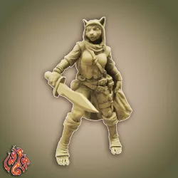 $3.49Lace the Tabaxi Rogue
