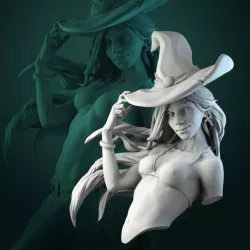 $3.90Anita the Young Witch bust pre-supported