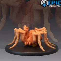 $3.90Giant Forest Spider / Arachnid Critter