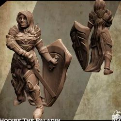 $3.99Support Free Paladin Miniature Hodire The Paladin