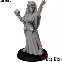 $3.99The Shaman