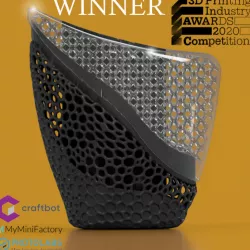 3DPI Awards Trophy 2020 - 2-Way Lattice