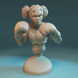 $4.00Boxer girl bust