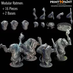 $4.99Modular Ratmen