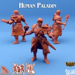 $5.00Human Paladin - Arrodan Syndicate