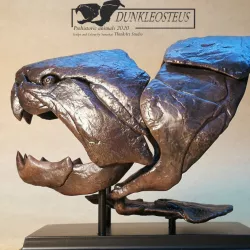 $5.50Dunkleosteus Fossil
