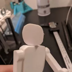 Action Figure