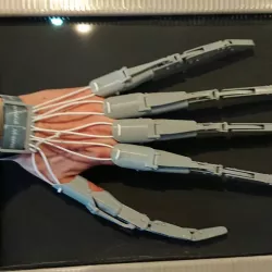 Articulated finger extensions