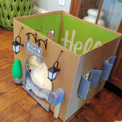 Cat Meowtel - Spruce up Your Cardboard Box