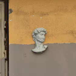 David Bust with Medical Mask