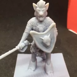 Dewey Krochboddum - Tabaxi Paladin