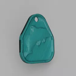 Dolphin keychain