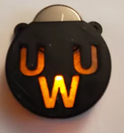 Edge Lit 3D Printed Pendant