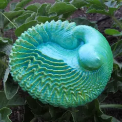 Feather Shell - 3D fractal artifact
