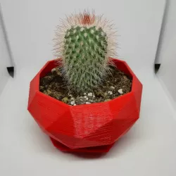 Geometric Plant Pot