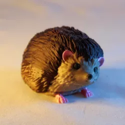 Hedgehog