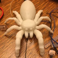 Jumping Spider Light