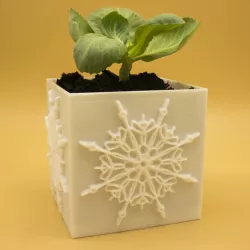 Mandala Planter
