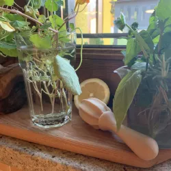 Manual juicer