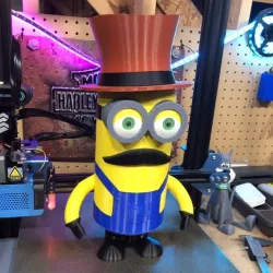  Minion Tim multicolor
