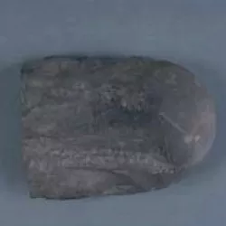 Neolithic Axehead