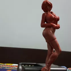 Office Lady