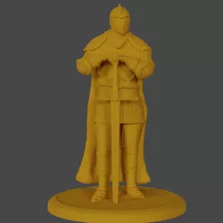 Paladin Knight