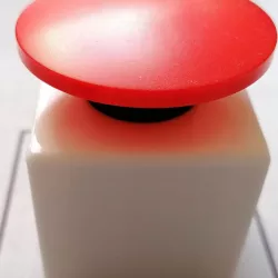 Push Button Case (mushroom head, 22mm)