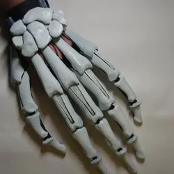 Skeleton skin for my Articulated finger extensions