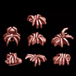 Spiders