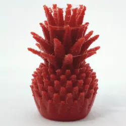 Tiny Pineapple - Detail Test (No supports)