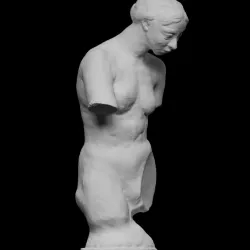 Torso of the Naked Muse