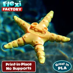$1.25CUTE FLEXI PRINT-IN-PLACE Starfish