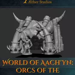 $10.00World of Aach'yn: Orcs of the Bonestew Tribe