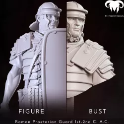 $11.99Bundle - Roman Praetorian Guard 1st-2nd C. A.C. Ready for the Roman games!