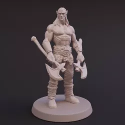 $2.00Elf Barbarian - Tabletop Miniature - DnD