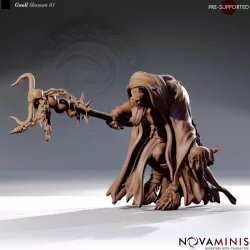 $3.00Gnoll Shaman 01