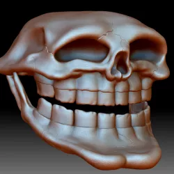 $3.00Homo Trollus Faceus - around 21 century A.D. Troll Face Skull 3D printable